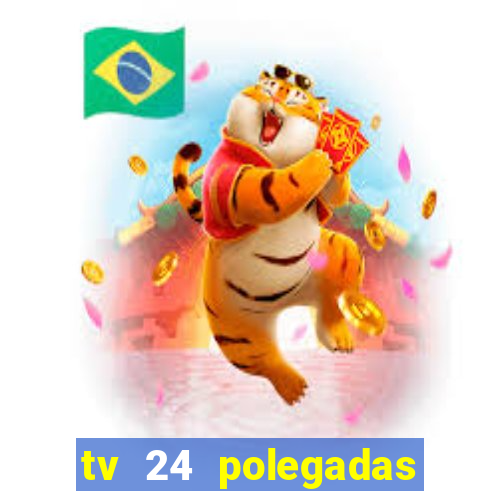 tv 24 polegadas casas bahia